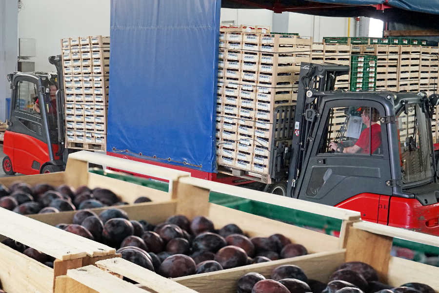 Obstgroßmarkt Mittelbaden eG 