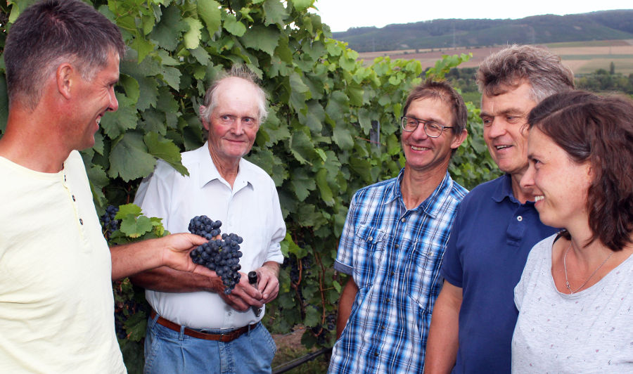 Weingärtner Stromberg-Zabergäu eG Bio-Wein