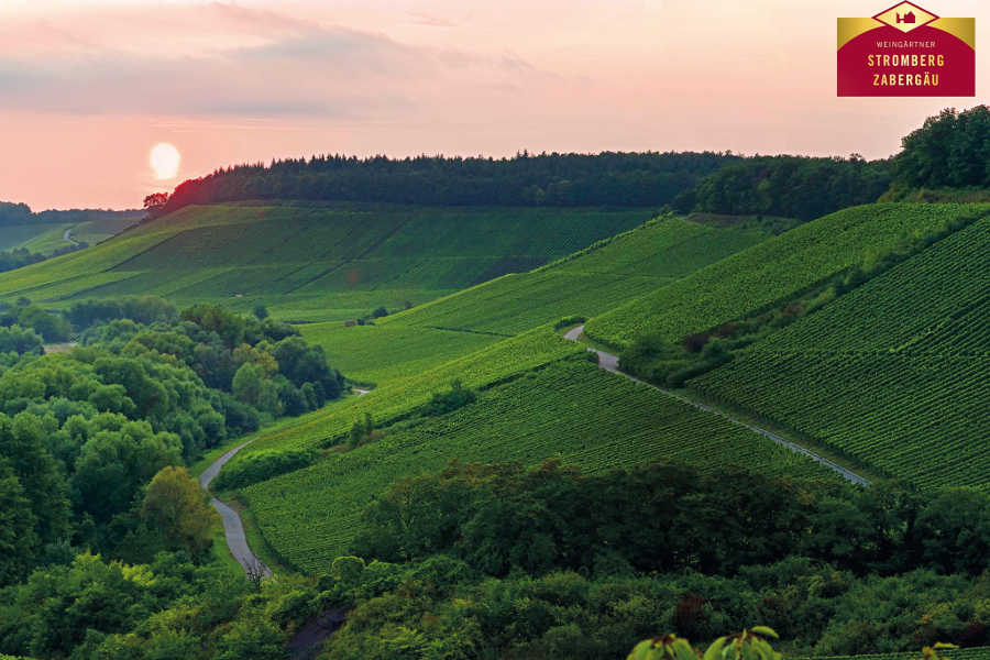 WG Stromberg-Zabergäu eG