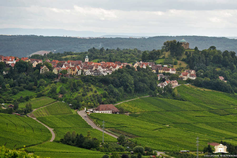 Collegium Wirtemberg Weingärtner Rotenberg & Uhlbach