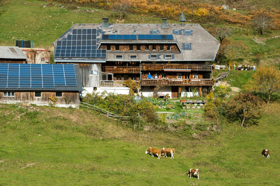 EWS Schönau eG