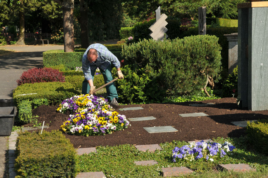 Genossenschaft der Friedhofsgärtner organisiert dauerhafte Grabpflege