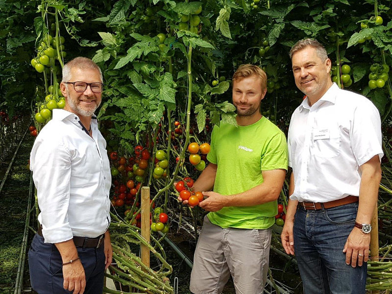 Reichenau-Gemüse Gärtnersiedlung