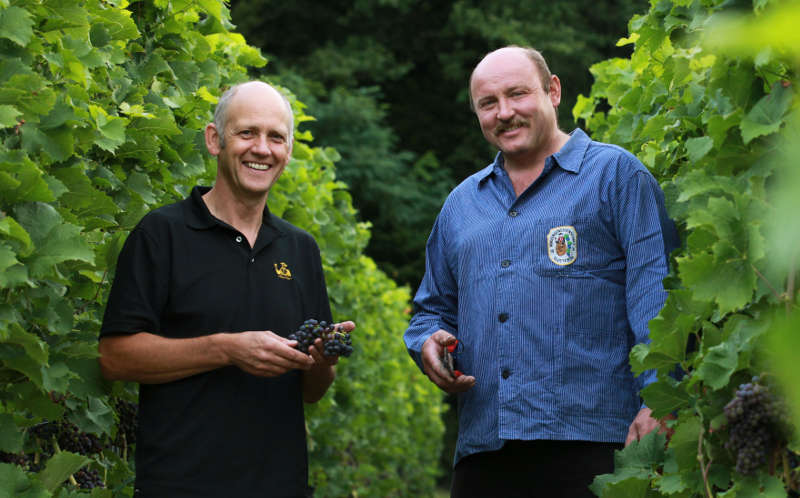 Udo Opel, Geschäftsführer und Vorstandsvorsitzender, und Thomas Über, stv. Vorstandsvorsitzender der Winzergenossenschaft Glottertal eG, in den Reben des Blauen Spätburgunder.