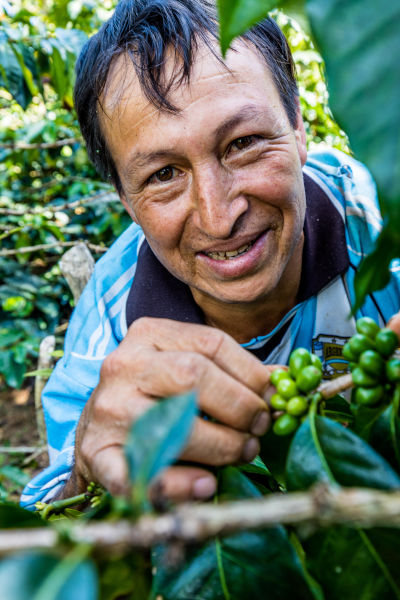 Oikocredit Bio-Kaffeeanbau Kaffeegenossenschaft Peru