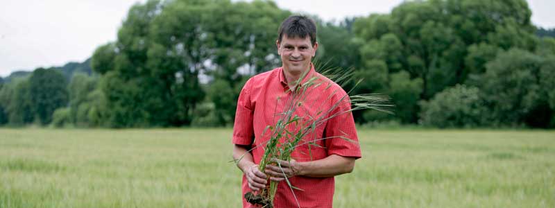 Landwirt im getreidefeld