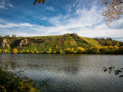 Weinberge am Krappenfelsen, Lauffen am Neckar