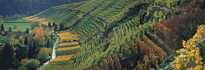 Lauffener Steilhänge