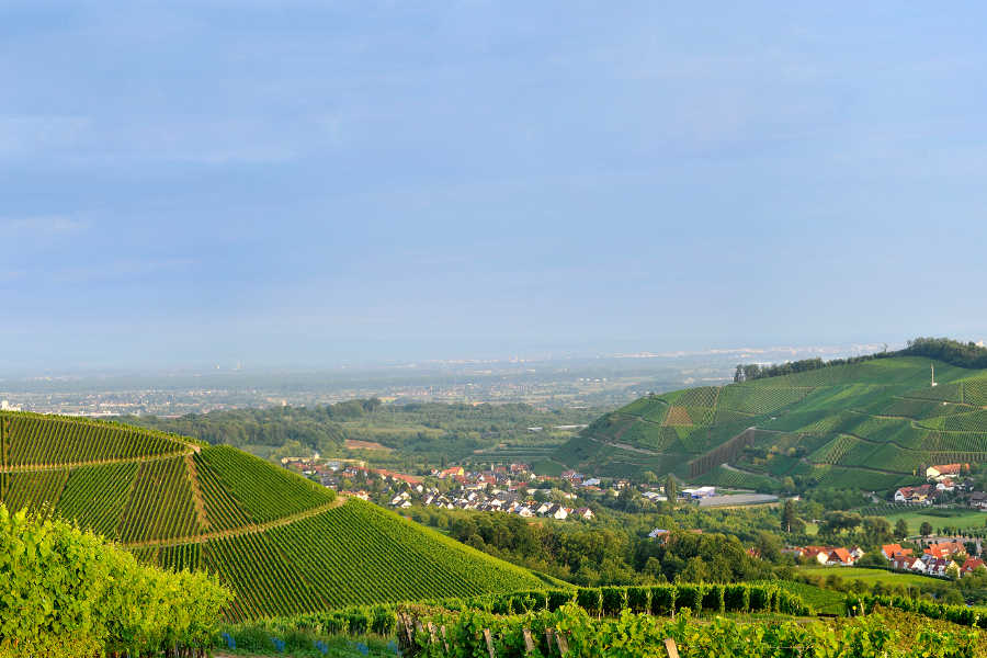 Durbacher Winzergenossenschaft