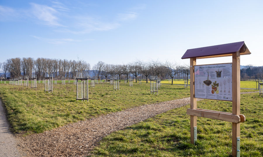 Die Streuobstwiese als Lernobjekt.