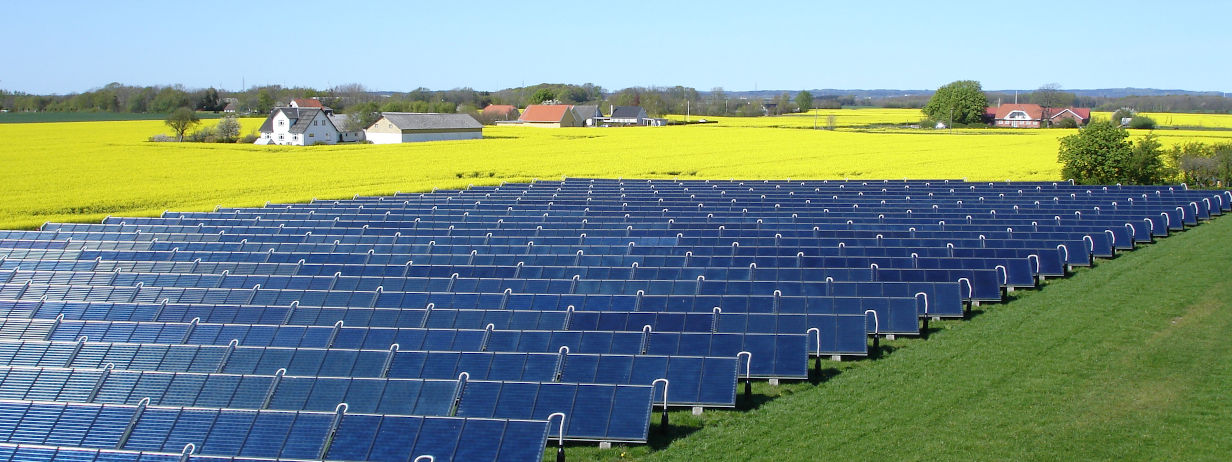 Photovoltaikanlage vor gelb blühendem Acker unter blauem Himmel