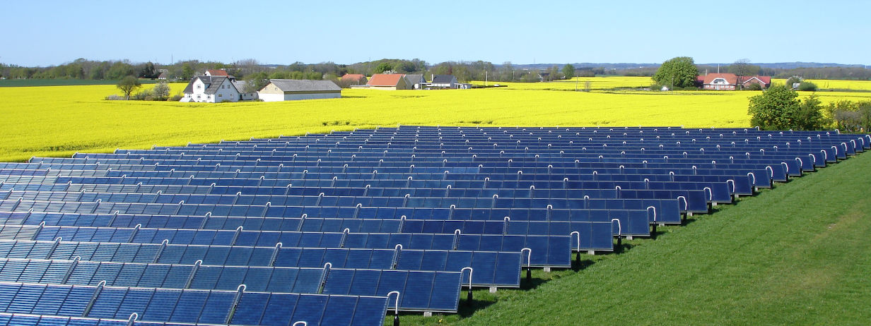 Fotovoltaikanlage vor gelb blühendem Acker unter blauem Himmel