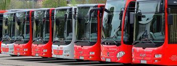 Busse in der Bodensee-Region