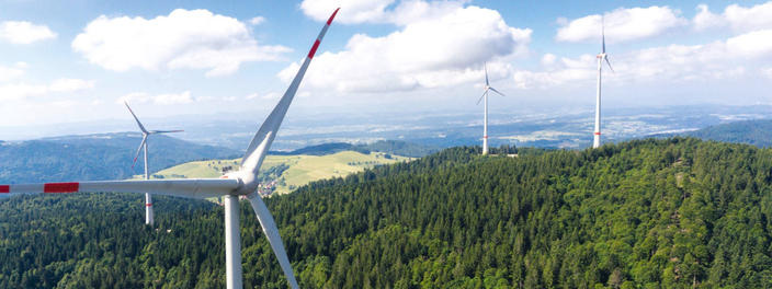 EWS Schönau eG