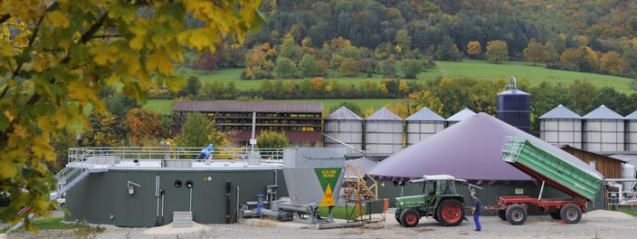 Erdbeerdurft Biogasanlagen Universität Hohemheim