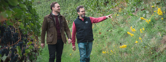 Oberkircher Winzer eG Terrassenpatenschaften