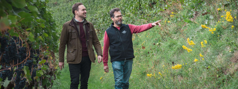 Oberkircher Winzer eG Terrassenpatenschaften