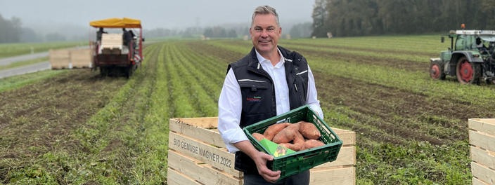 Reichenau Gemüse eG - Süßkartoffeln vom Bodensee