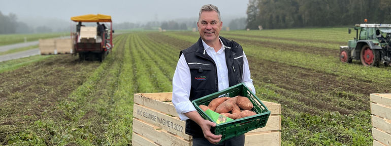 Reichenau Gemüse eG - Süßkartoffeln vom Bodensee