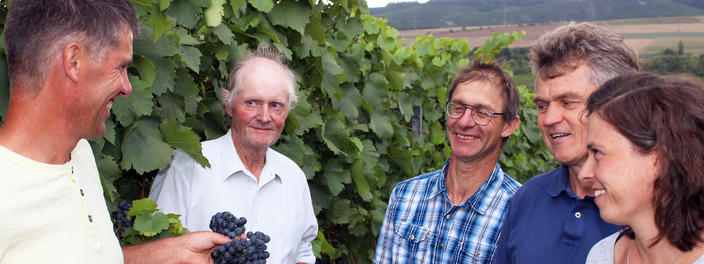 Weingärtner Stromberg-Zabergäu eG Bio-Wein