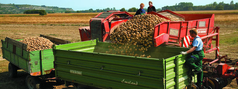 Klimawandel - Auwwirkungen auf die genossenschaftliche Landwirtschaft