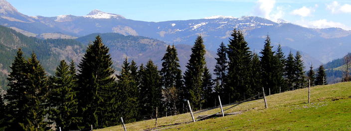 Kosovo Albanien Landwirtschaft