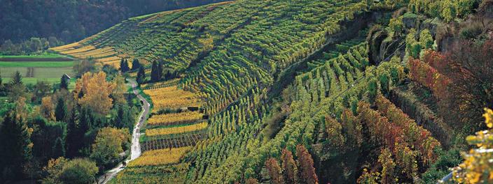 Wein-Fachmesse Intervitis