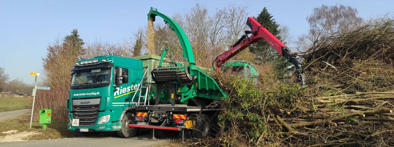 Studie zur Waldnutzung - Waldgenossenschaften haben noch Potenzial