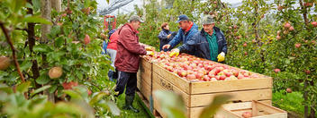 Obstgrossmarkt Oberkirch - Foto Markus Dietze