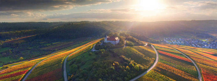 Michaelsberg_WG-Cleebronn-Güglingen-eG